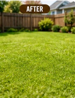 Clean, tidy backyard lawn after Turd Burglars cleanup
