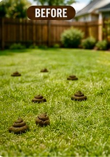 Backyard lawn scattered with dog waste before Turd Burglars cleanup